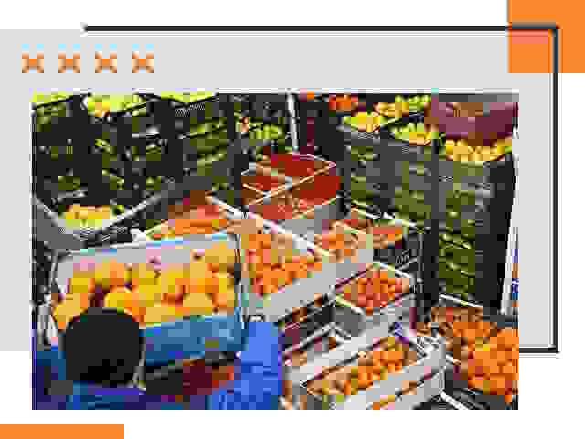 Перевозка скоропортящихся продуктов в Тихвине